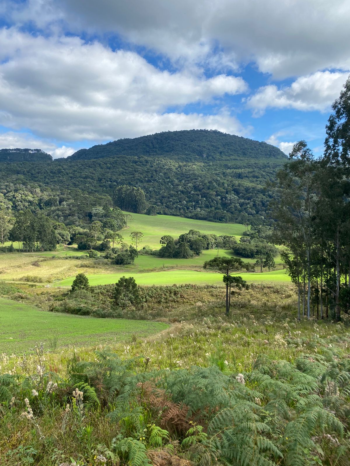 FAZENDA URUBICI (1)