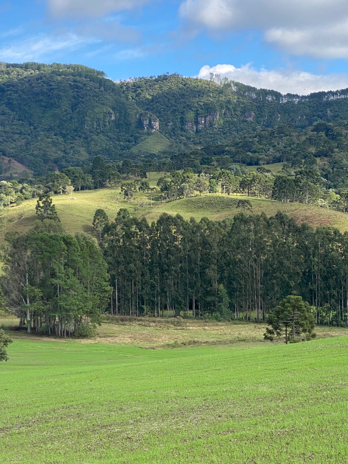 FAZENDA URUBICI (12)