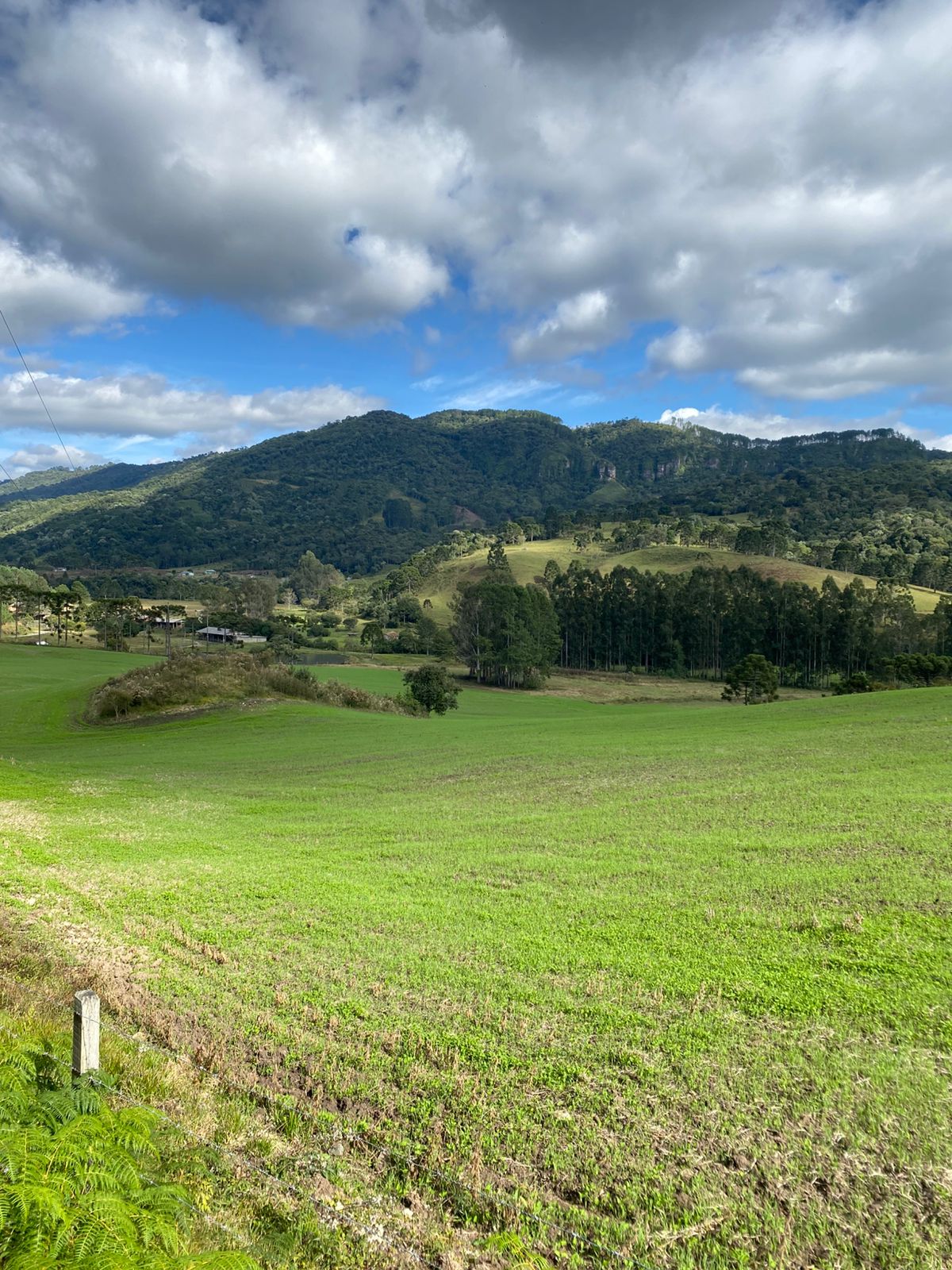 FAZENDA URUBICI (13)