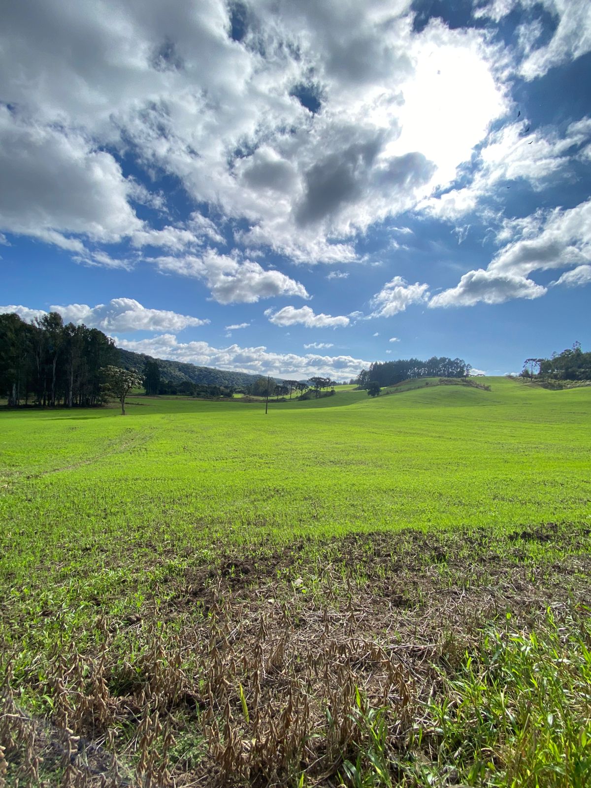 FAZENDA URUBICI (14)