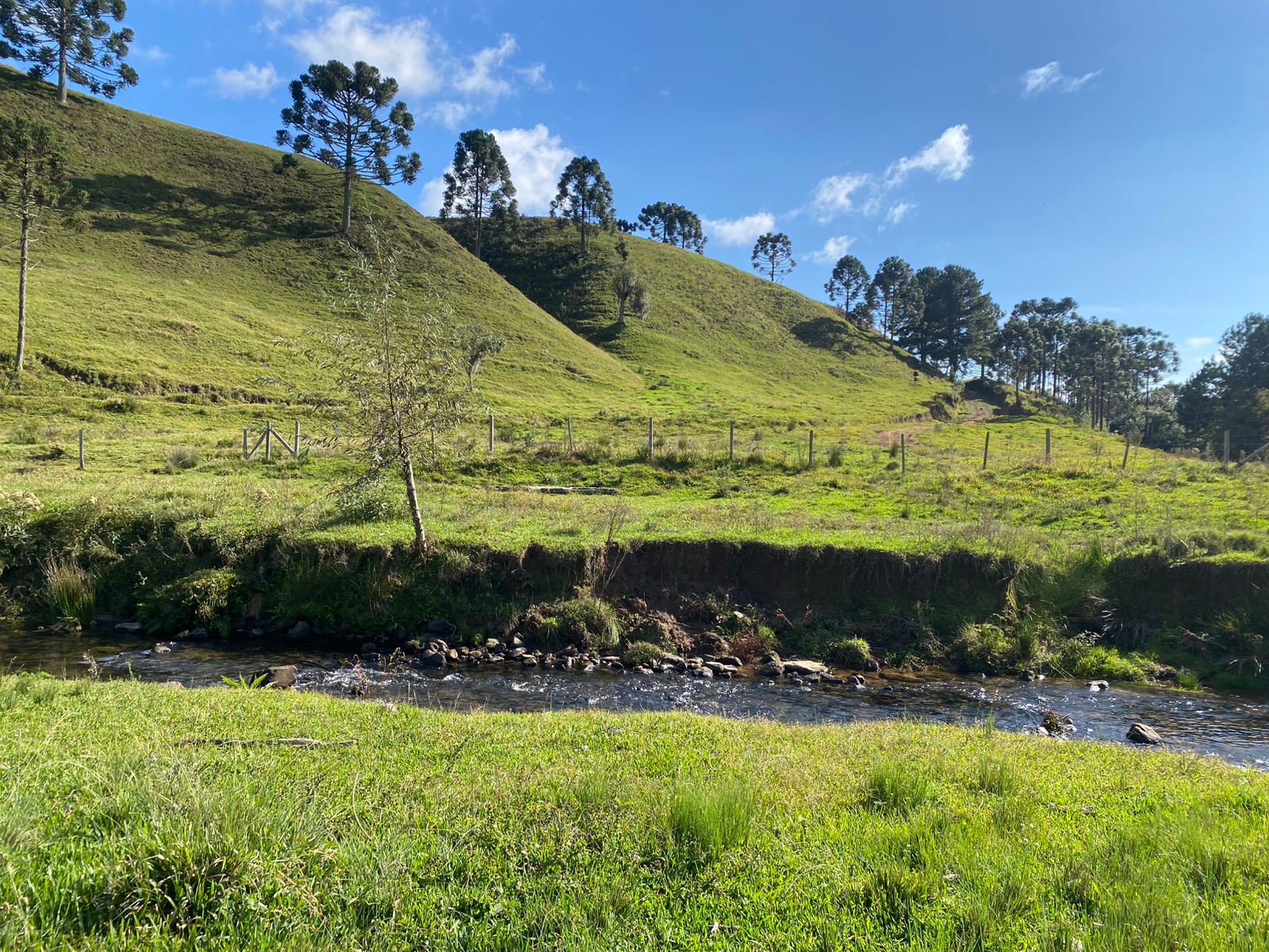 FAZENDA URUBICI (16)