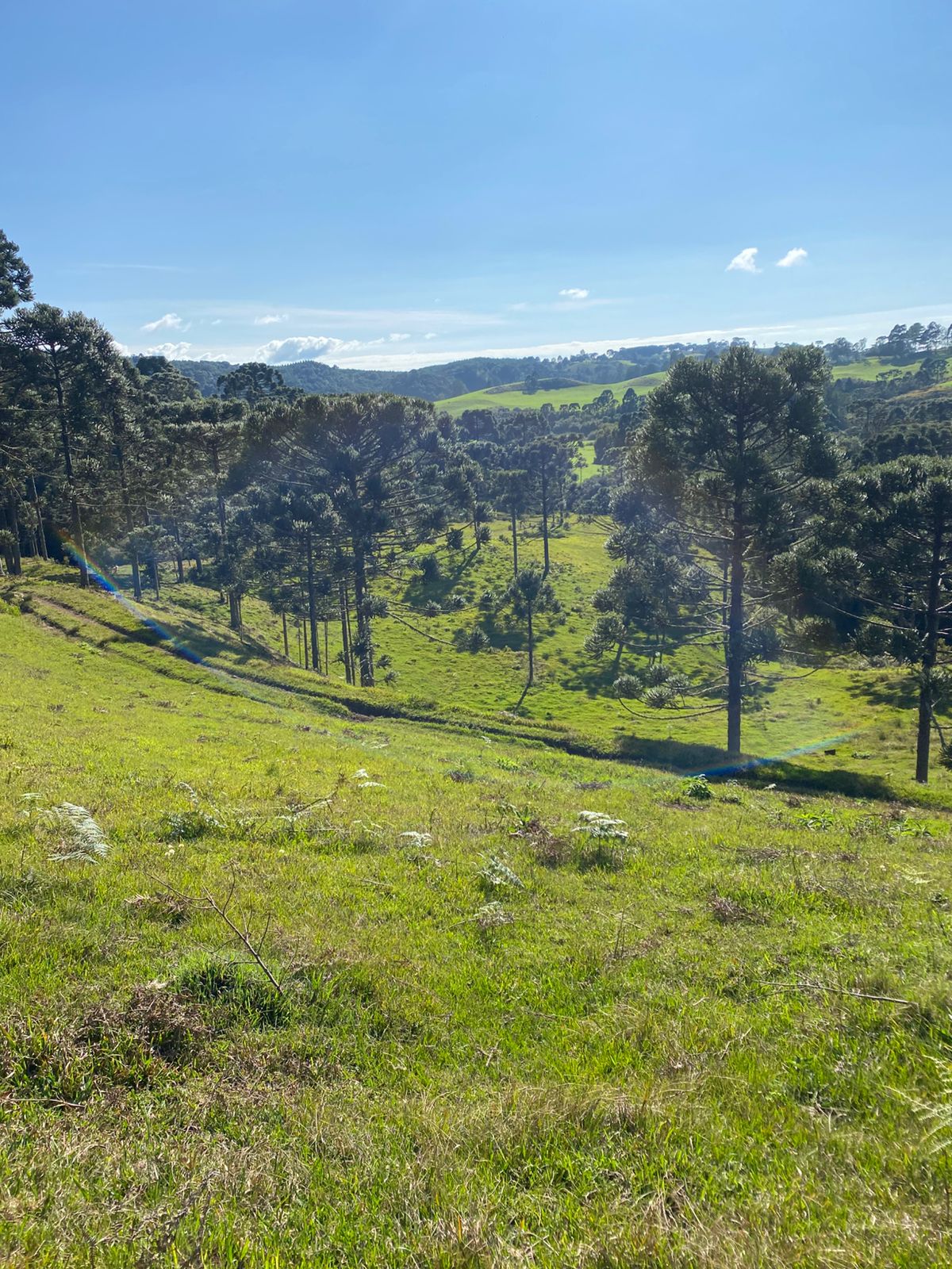 FAZENDA URUBICI (18)