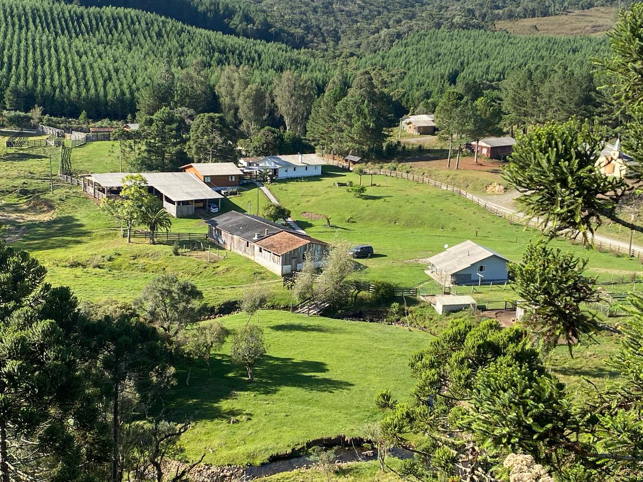 FAZENDA URUBICI (2)