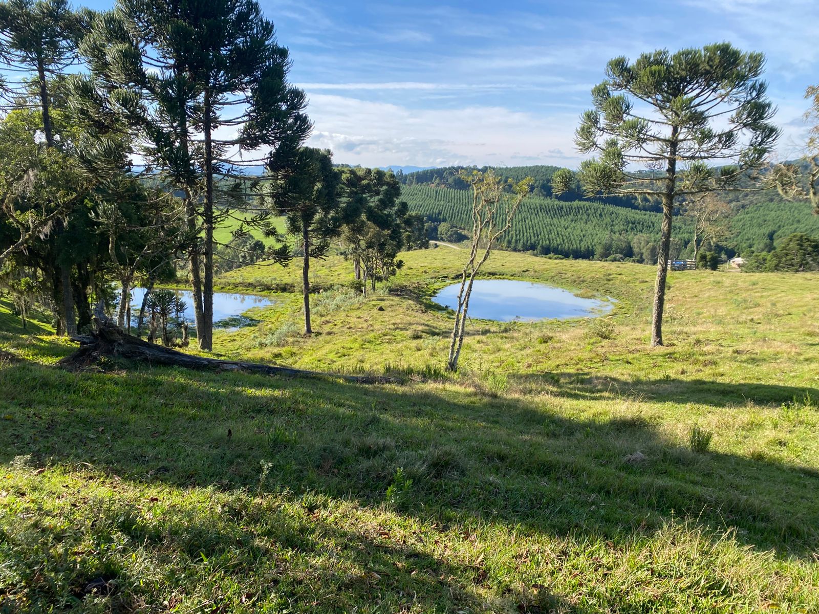 FAZENDA URUBICI (20)