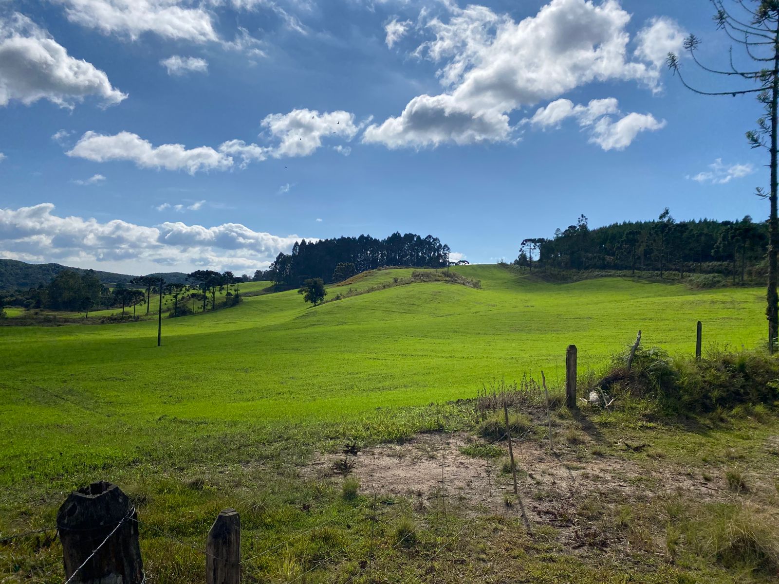 FAZENDA URUBICI (24)