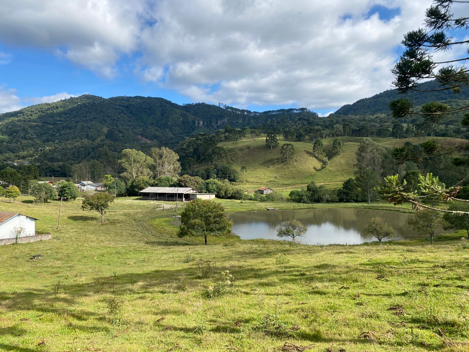 FAZENDA URUBICI (26)