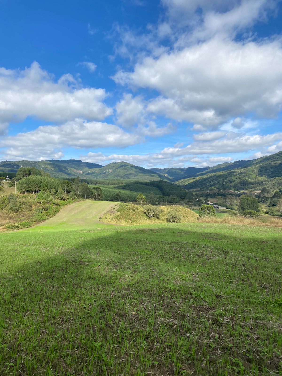 FAZENDA URUBICI (3)