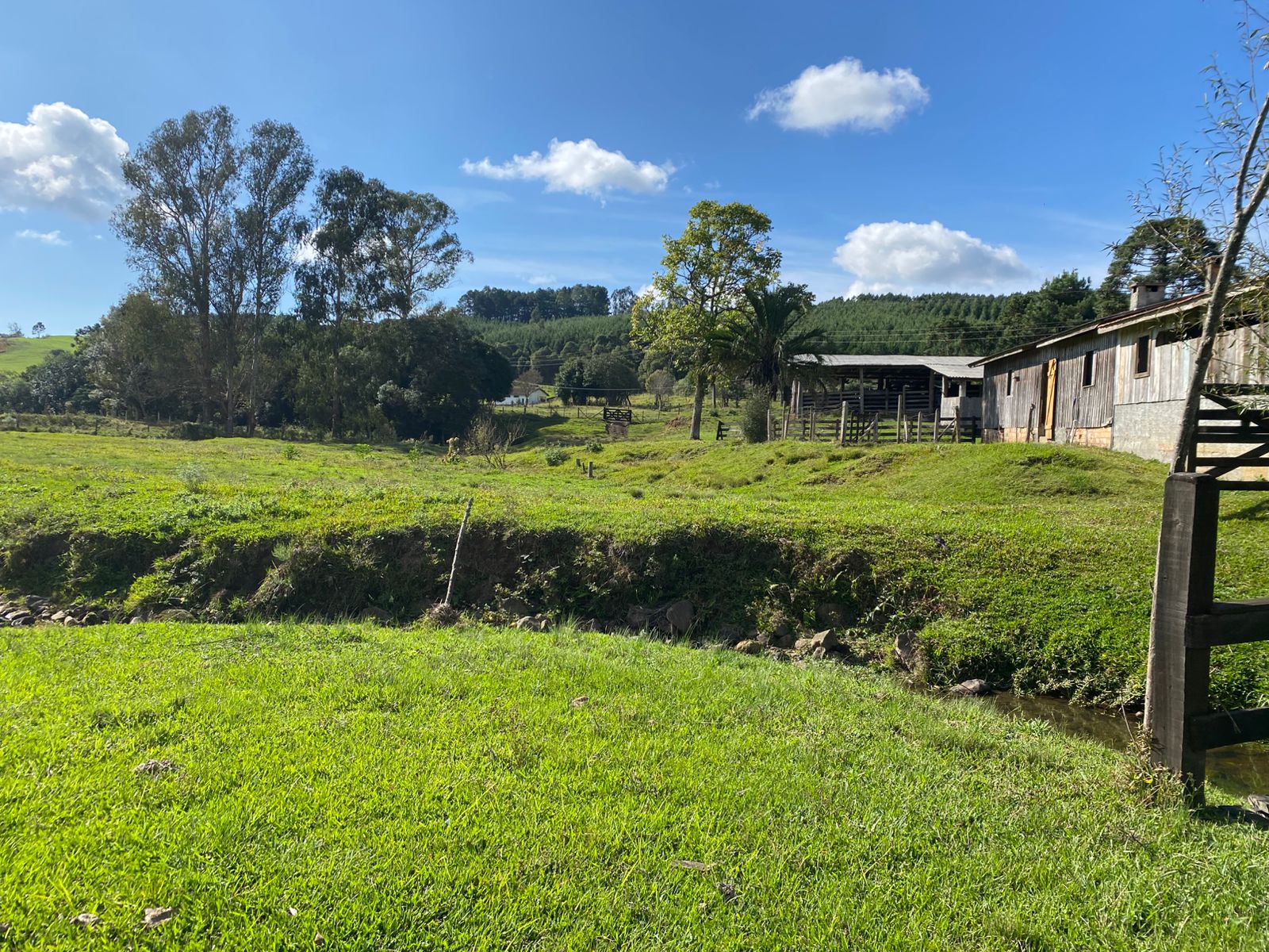 FAZENDA URUBICI (30)