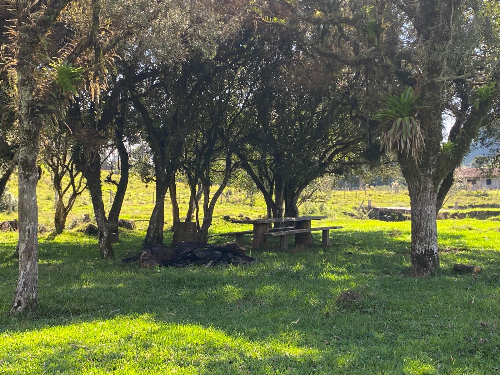 FAZENDA URUBICI (32)