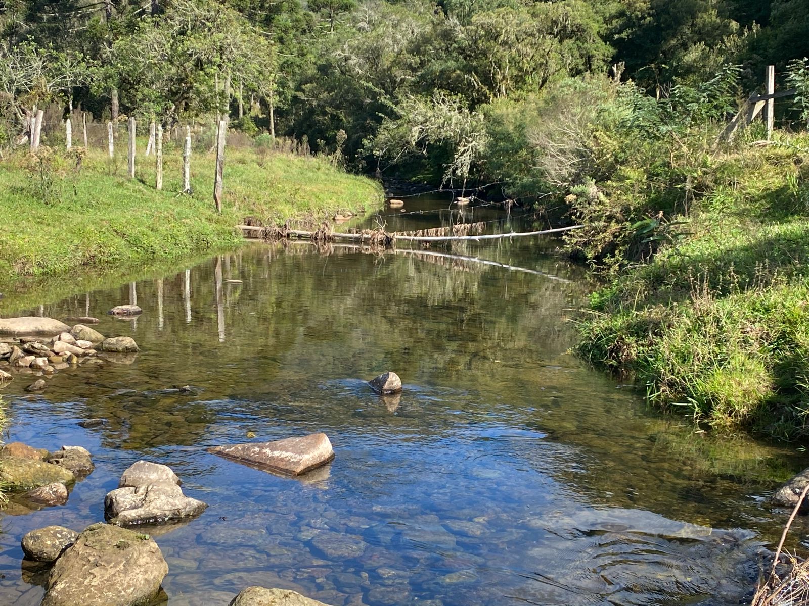 FAZENDA URUBICI (33)