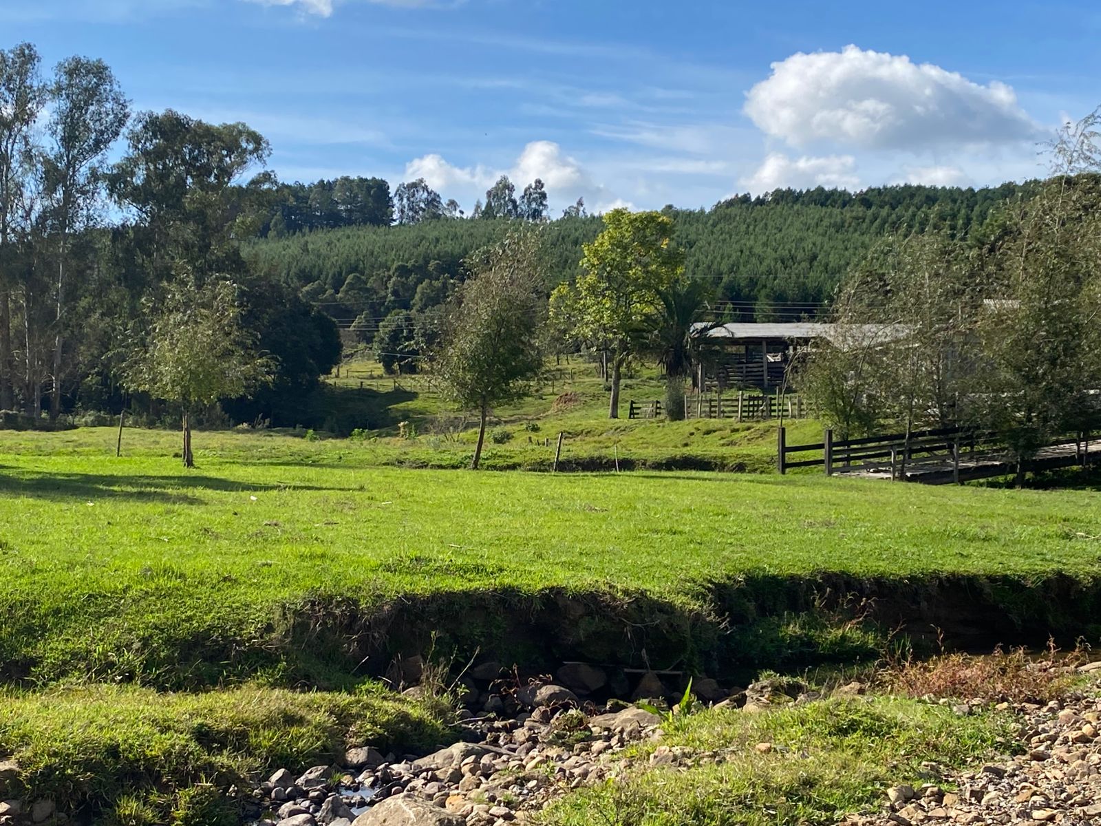 FAZENDA URUBICI (34)