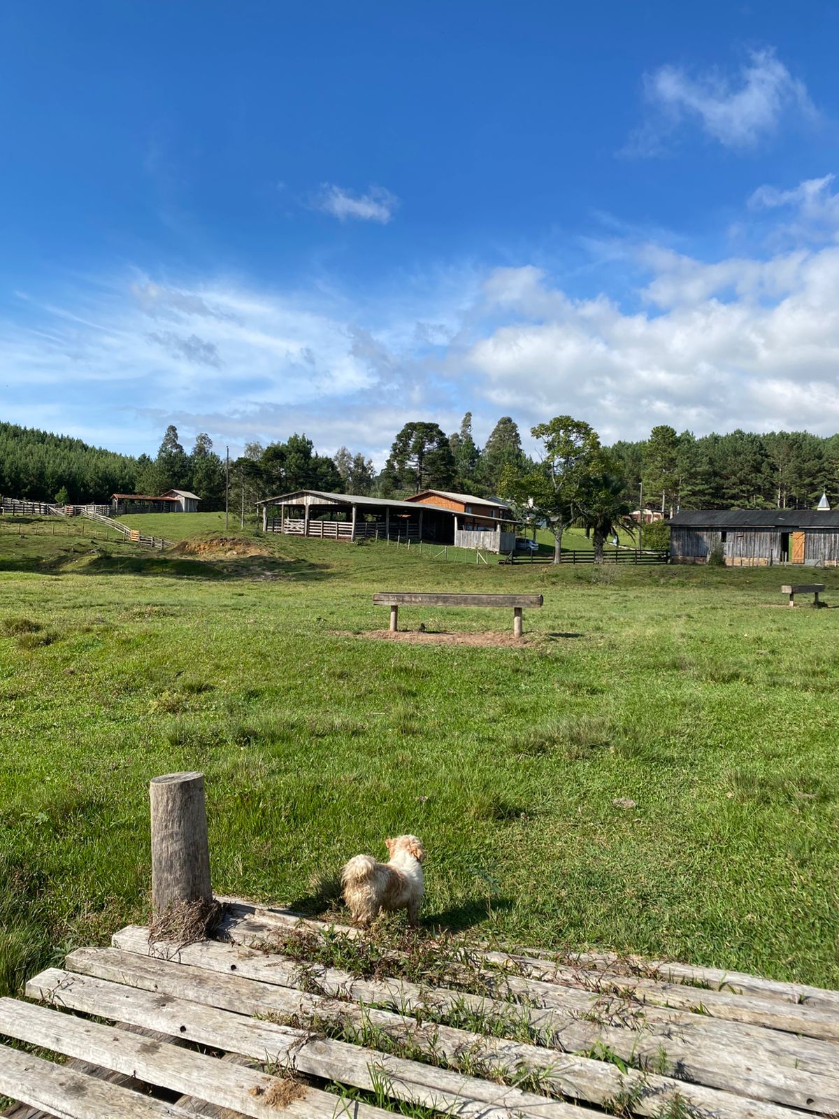 FAZENDA URUBICI (36)