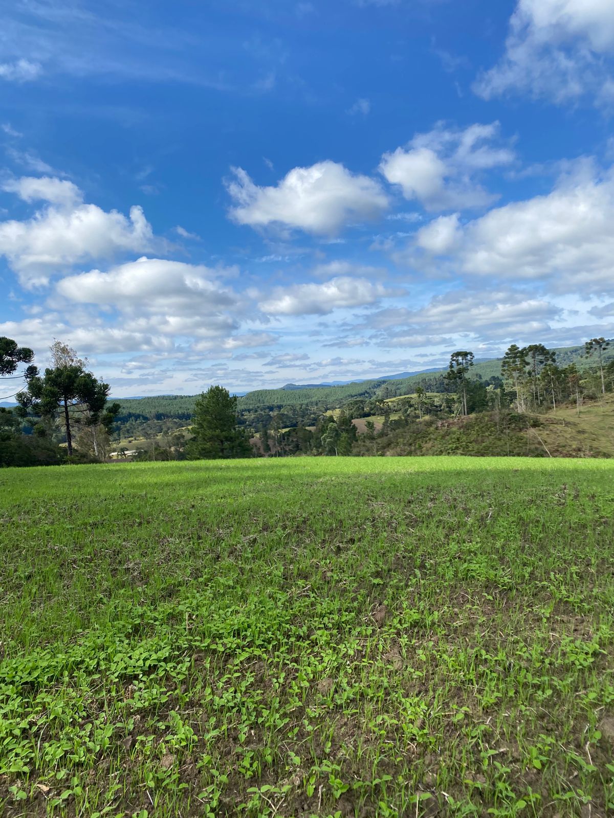 FAZENDA URUBICI (4)