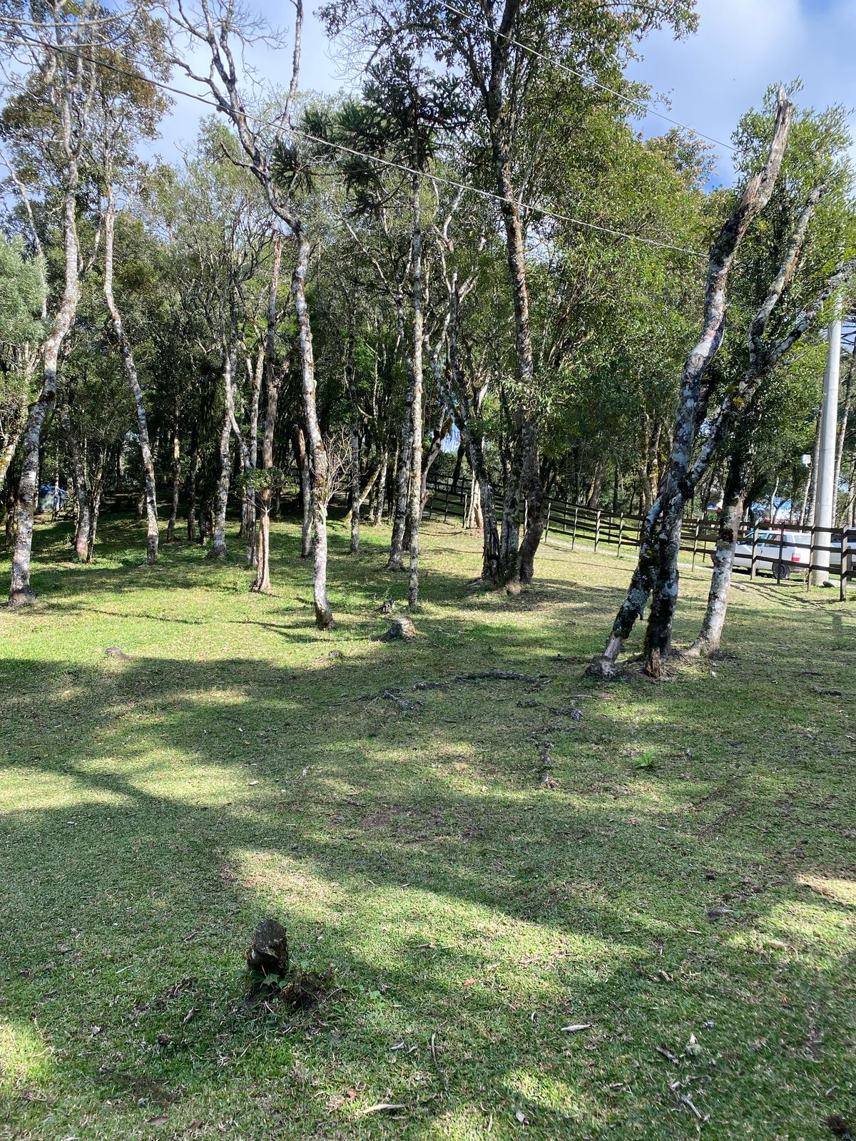 VENDA DE IMOVEIS-CHALÉS-HECTARES-SANTA CATARINA (8)